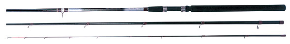 FISH HUNTER FEEDER